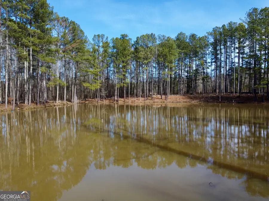 2020 Bailey Creek Road, Covington, GA 30016 - #3