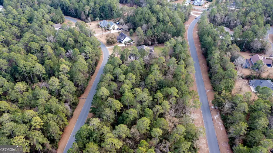 V/L 191 Sunrise Dr, Woodbine, GA 31569 - #3