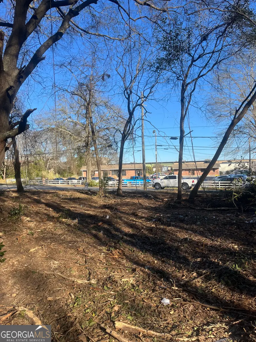 0 Old Griffin Rd, McDonough, GA 30253 - #2