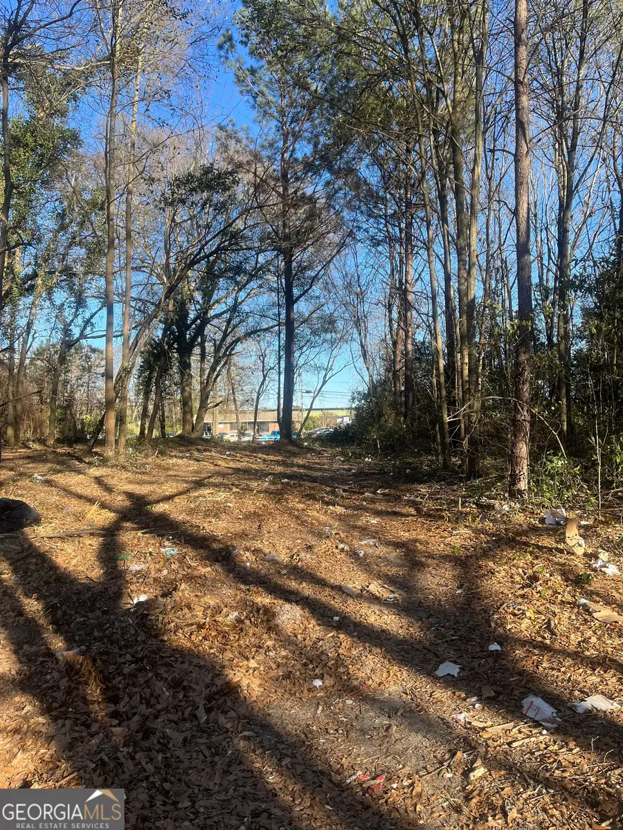 0 Old Griffin Rd, McDonough, GA 30253 - #3