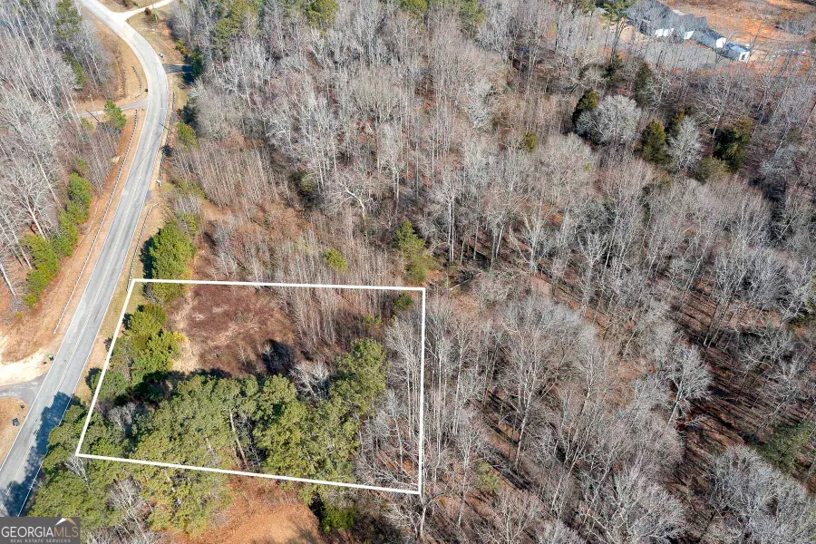 170 Mackey Road, McDonough, GA 30252 - #3