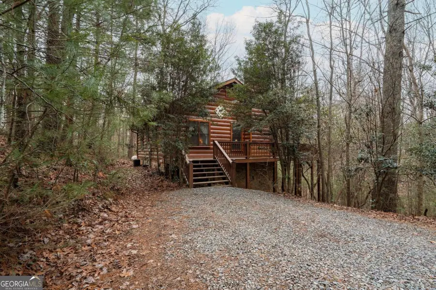 1165 Little Bushy Head Road #220, Blue Ridge, GA 30513 - Image #2