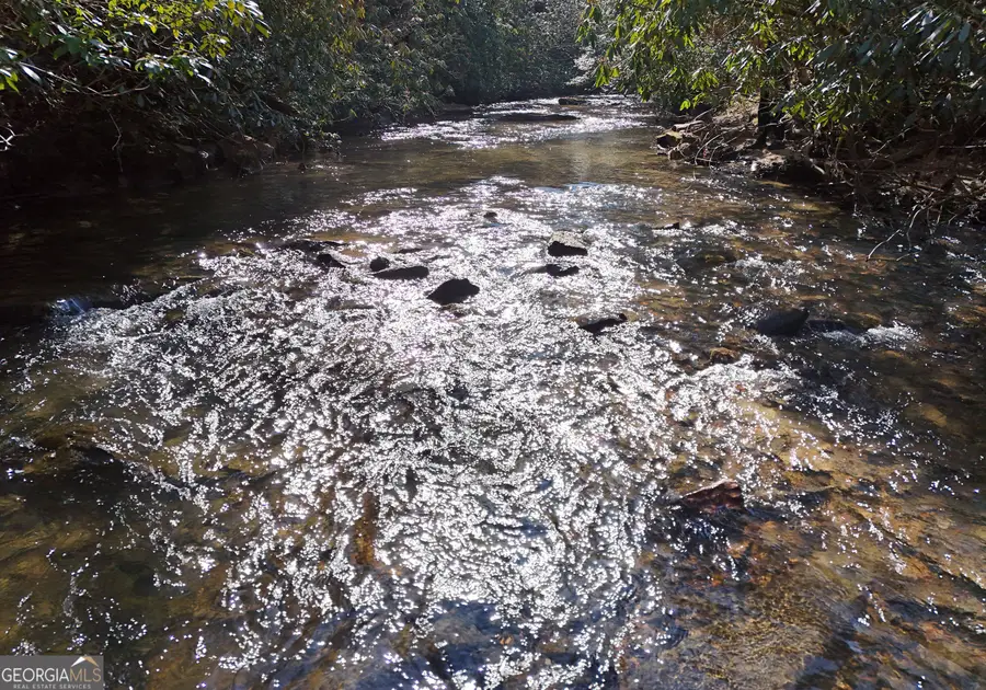 150 Donna Lee Lane, Mineral Bluff, GA 30559 - #3