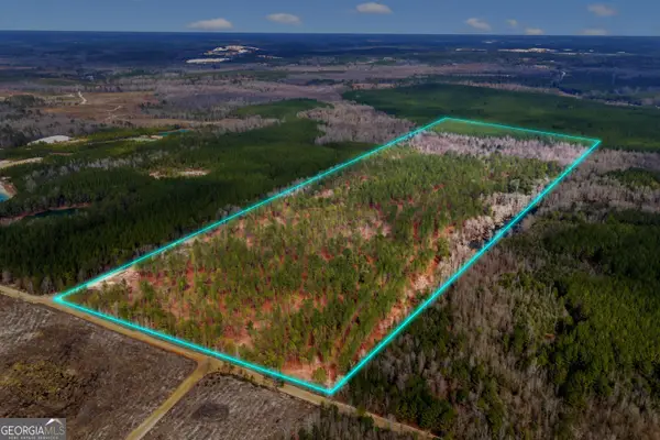 TRUSLOW EAST New Hopewell Church Road, Jeffersonville, GA 31044