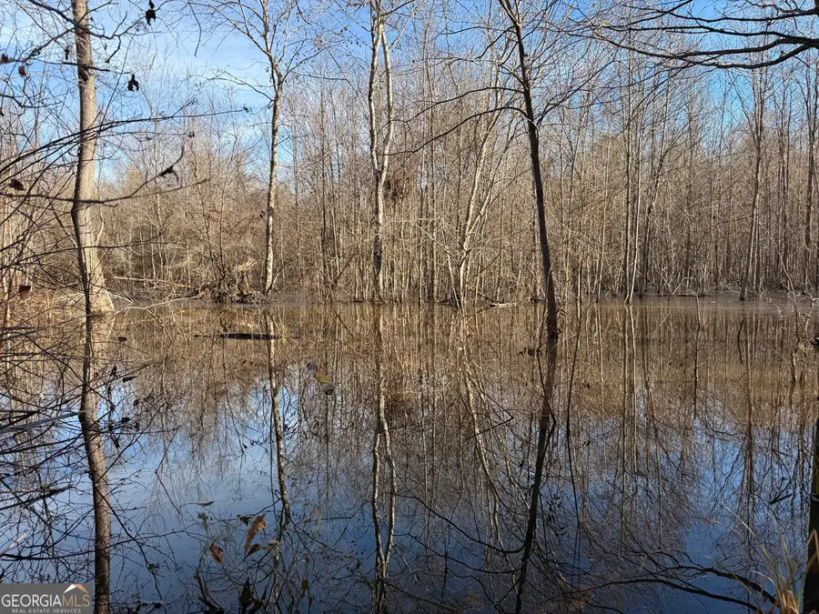 TRUSLOW EAST New Hopewell Church Road, Jeffersonville, GA 31044 - #2