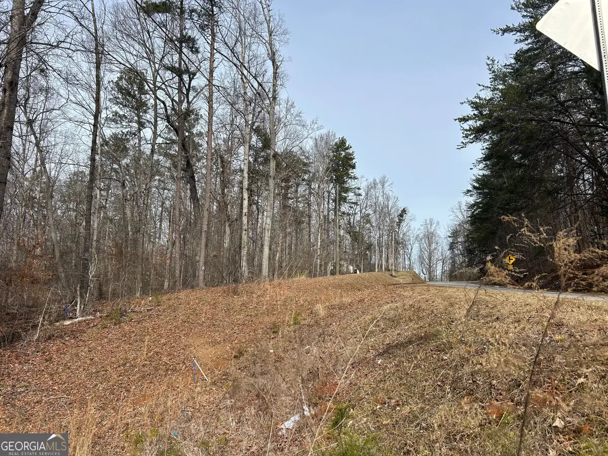 0 Holly Springs Road #TRACT 3, Toccoa, GA 30577 - #1