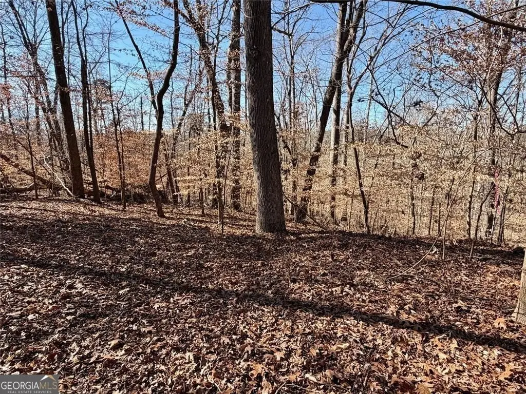 0 Arrowhead Court #227, Lavonia, GA 30553 - #1