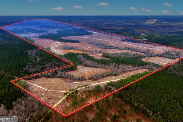 TRUSLOW CENTRAL Durham Mill Road, Jeffersonville, GA 31044