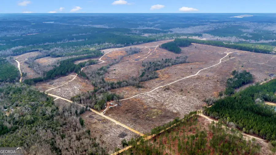 TRUSLOW CENTRAL Durham Mill Road, Jeffersonville, GA 31044 - #2