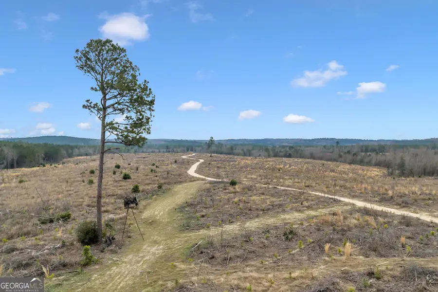 TRUSLOW CENTRAL Durham Mill Road, Jeffersonville, GA 31044 - #3