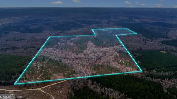 TRUSLOW SOUTH Durham Mill Road, Jeffersonville, GA 31044