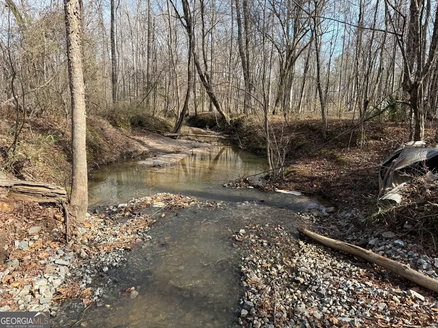 TRUSLOW SOUTH Durham Mill Road, Jeffersonville, GA 31044 - #3