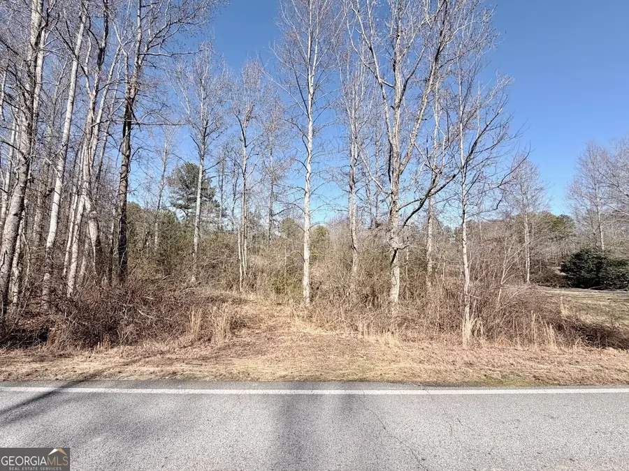 0 New Hope Road, Toccoa, GA 30577 - #2