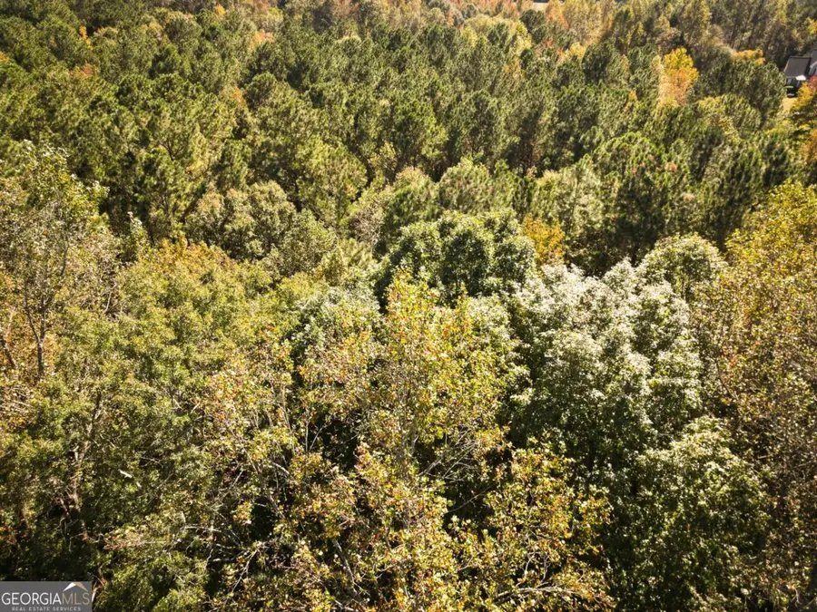 1092 Cooper Gin Road, Statham, GA 30666 - Image #2