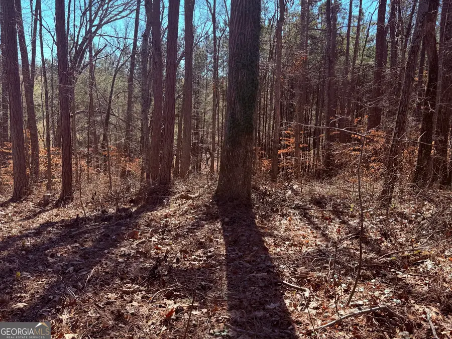 2487 S Carroll Court, Villa Rica, GA 30180 - #2