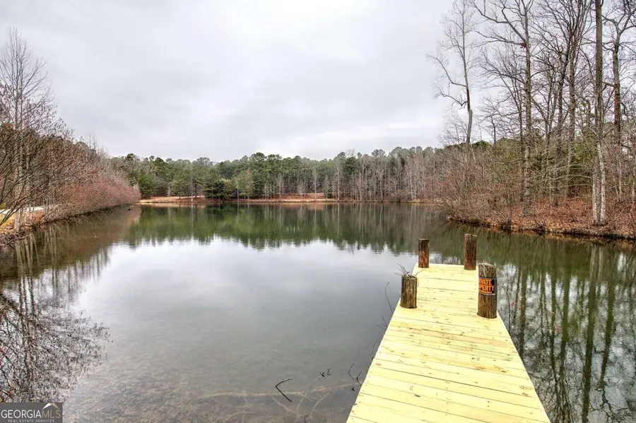1722 Luther Bailey Road, Senoia, GA 30276 - #3