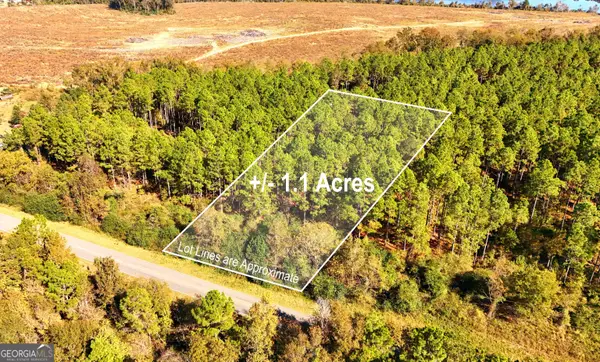 LOT 2 Middle Ground Church Road, Chester, GA 31012