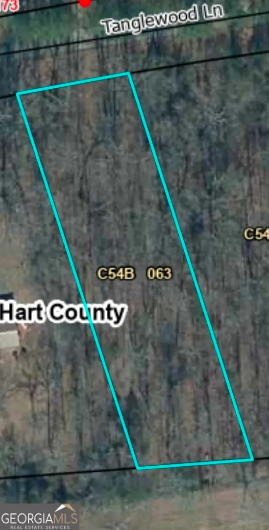 160 Tanglewood Lane, Hartwell, GA 30643 - #2