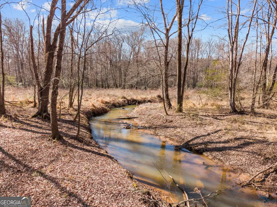 2120 Morgan Lane, Covington, GA 30014 - #3