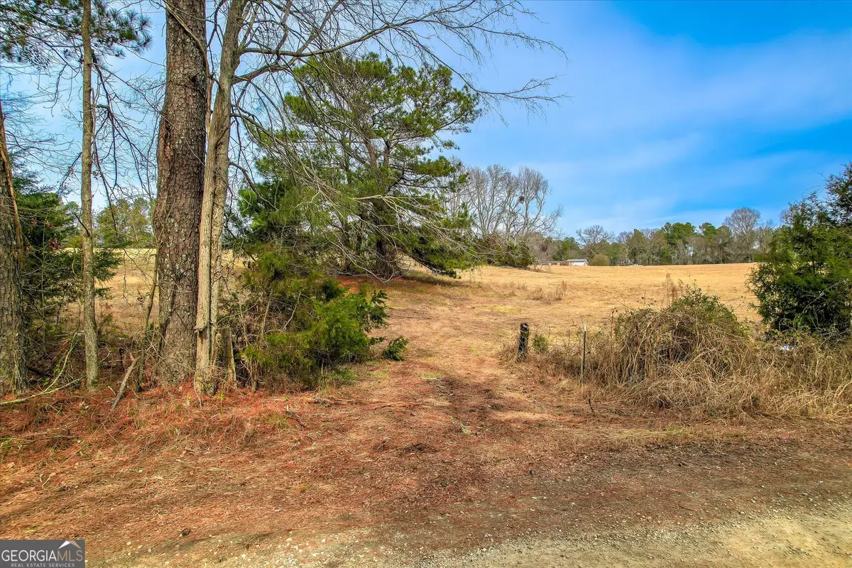 1903 Thomson Highway, Lincolnton, GA 30817 - #1