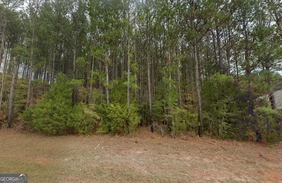 1751 Smokey Road, Lagrange, GA 30241 - #2