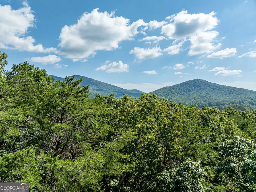 1205 Coachwhip Court, Jasper, GA 30143 - #3