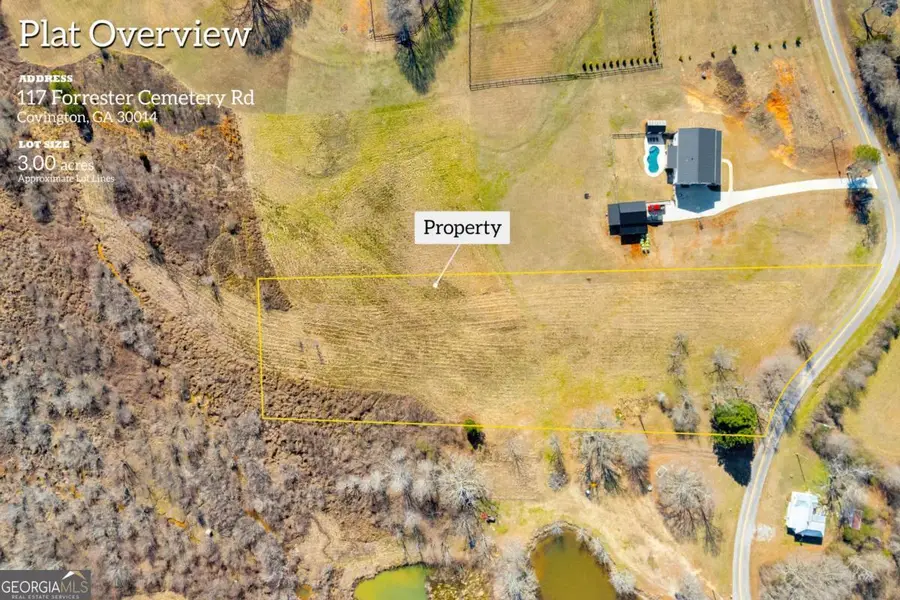 0 Forrester Cemetery Road, Covington, GA 30014 - Image #2