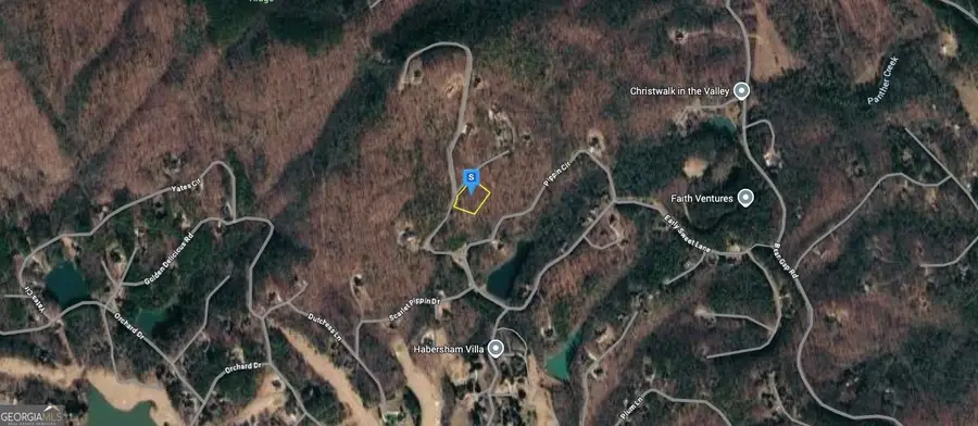 124 Autumn Sweet Drive, Clarkesville, GA 30523 - Image #2