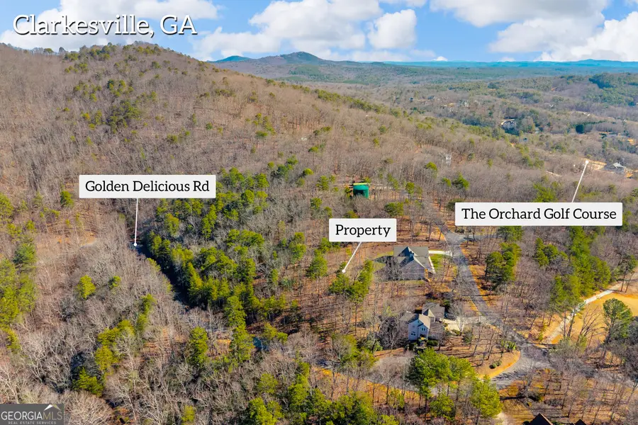 0 Golden Delicious Road, Clarkesville, GA 30523 - Image #3
