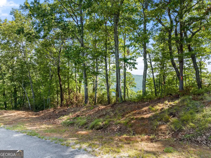 347 Highlands Drive, Clarkesville, GA 30523 - Image #2