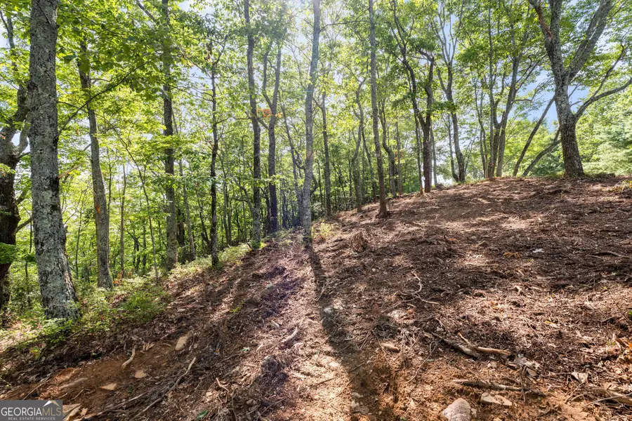 347 Highlands Drive, Clarkesville, GA 30523 - Image #3