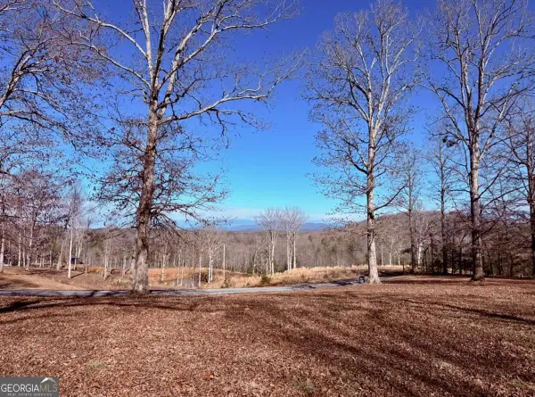 C4 Briar Woods Lane, Blue Ridge, GA 30513