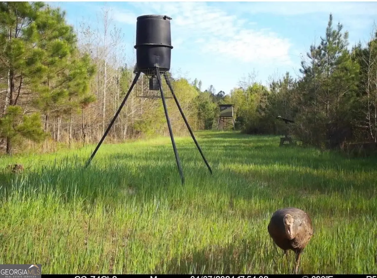 0 Cedar Rock Rd, Woodbury, GA 30293 - #1