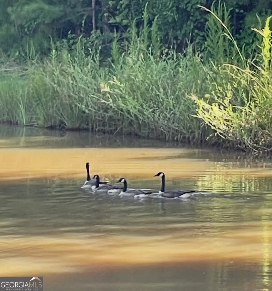 0 Cedar Rock Rd, Woodbury, GA 30293 - #2