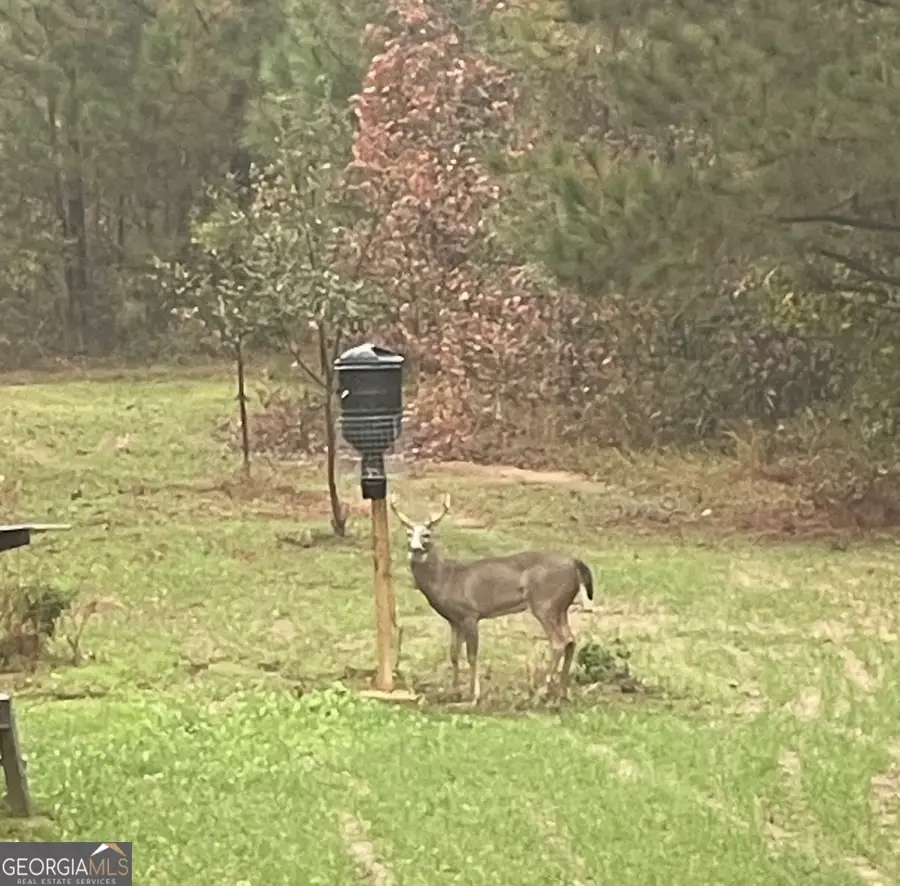 0 Cedar Rock Rd, Woodbury, GA 30293 - #3