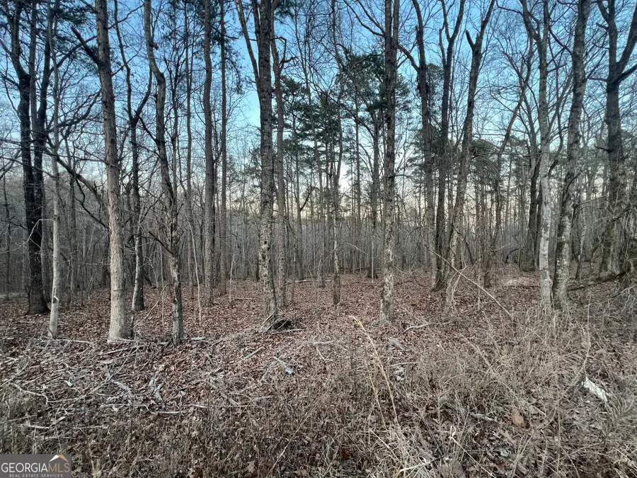 0 Ireland Drive, Rome, GA 30161 - #3