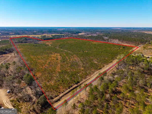 1 Henry Moxley Road, Cobbtown, GA 30420