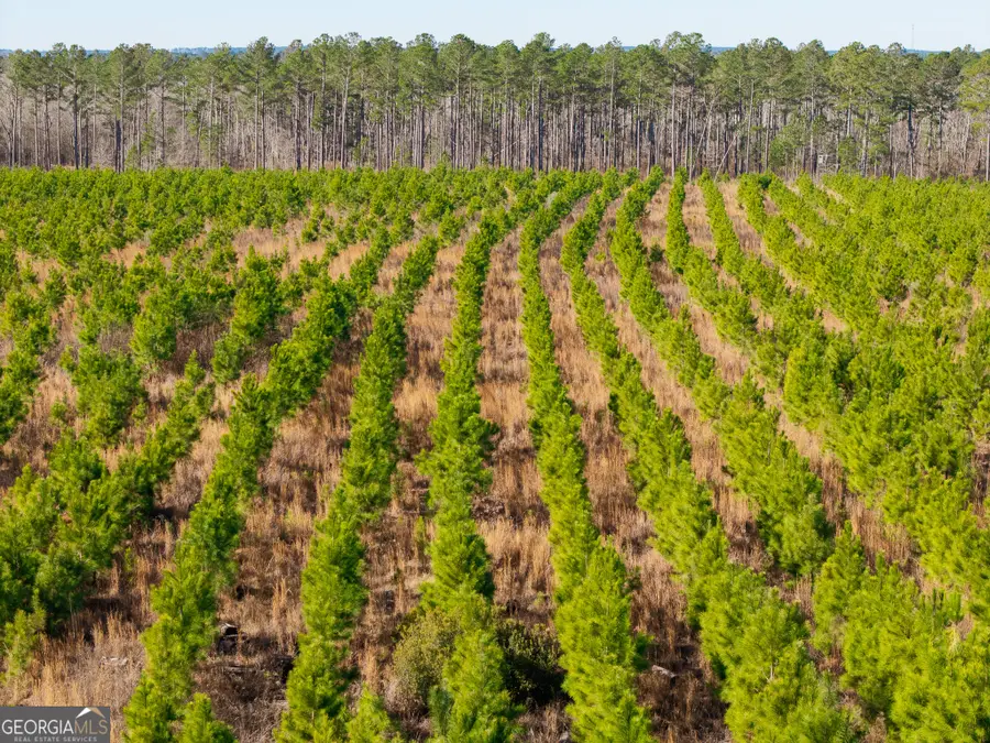 1 Henry Moxley Road, Cobbtown, GA 30420 - #3