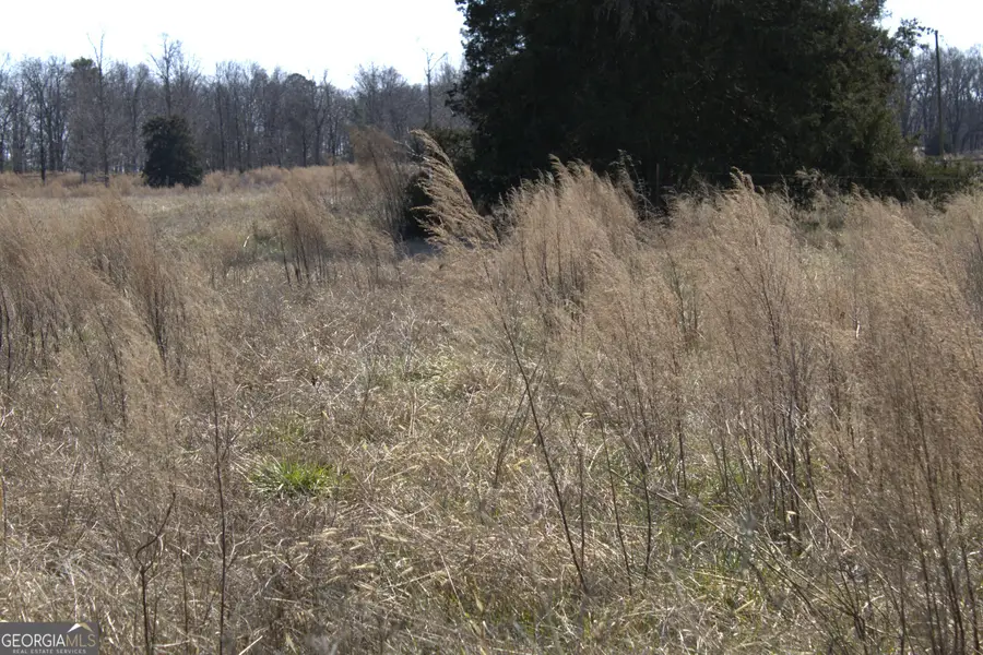 0 Nancy Hart School Road, Hartwell, GA 30643 - #2