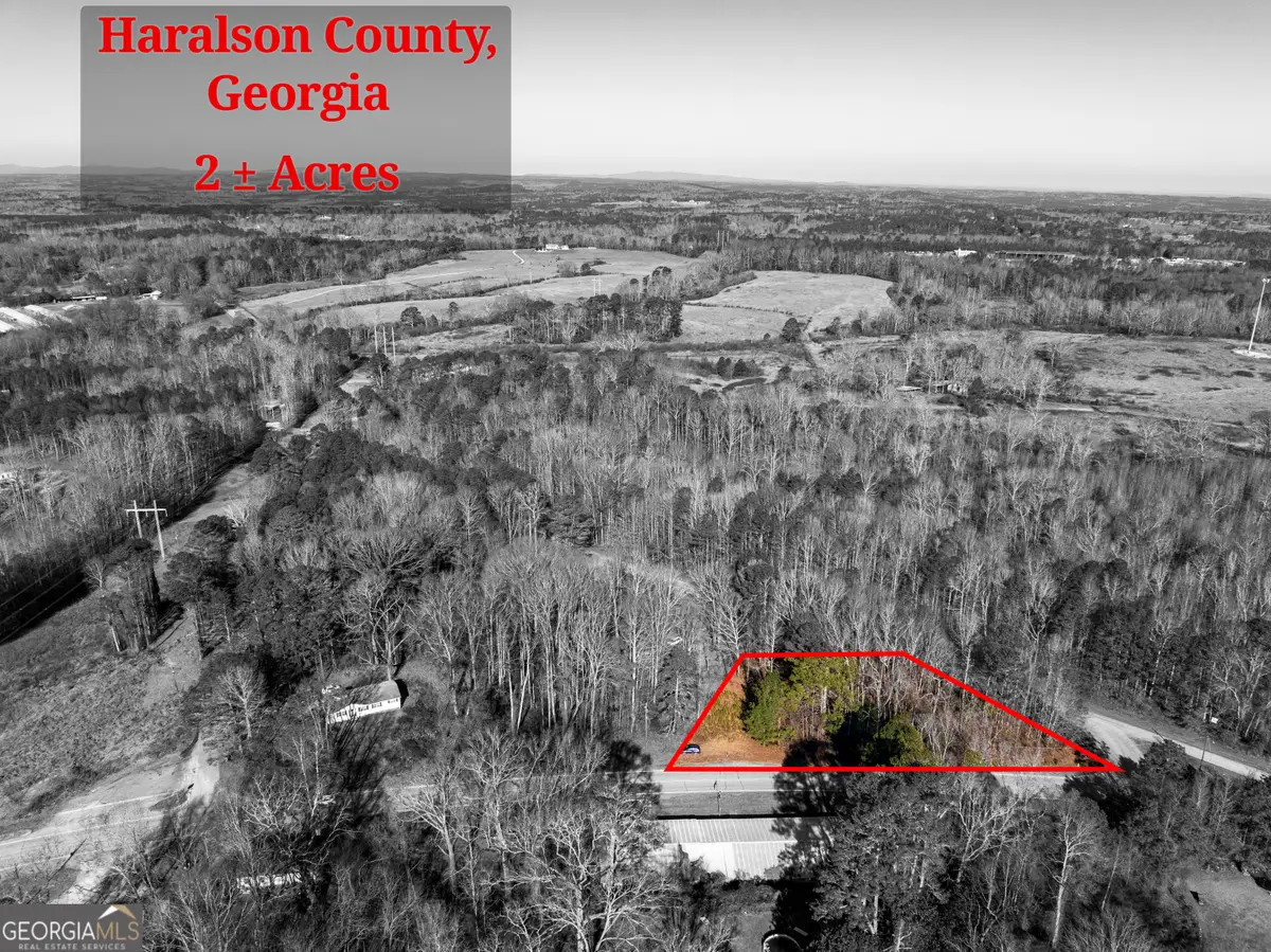 0 Tallapoosa Street, Buchanan, GA 30113 - #1