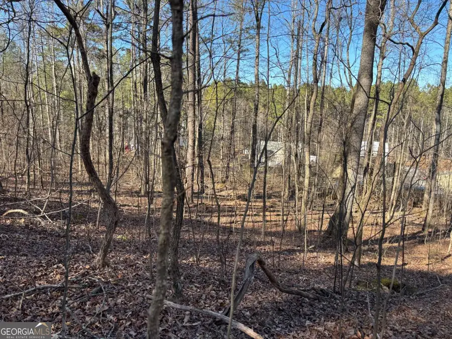 0 Gardner Springs Road, Adairsville, GA 30103 - #2