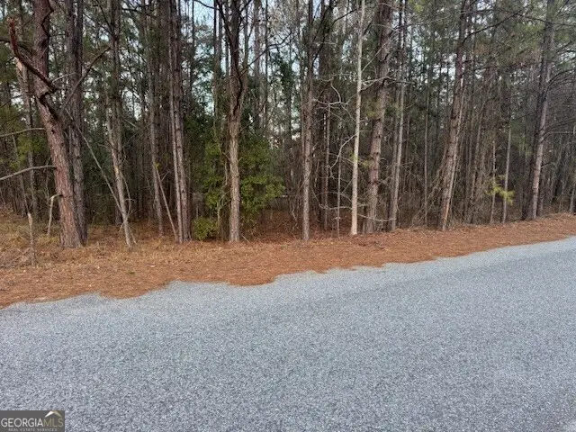 0 Pelican Cove, Midway, GA 31320 - #1