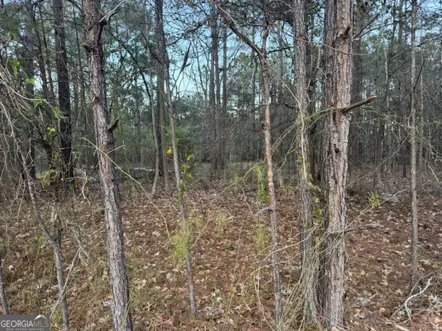 0 Pelican Cove, Midway, GA 31320 - #2