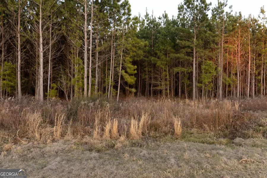 0 Highway 26, Montrose, GA 31065 - #2