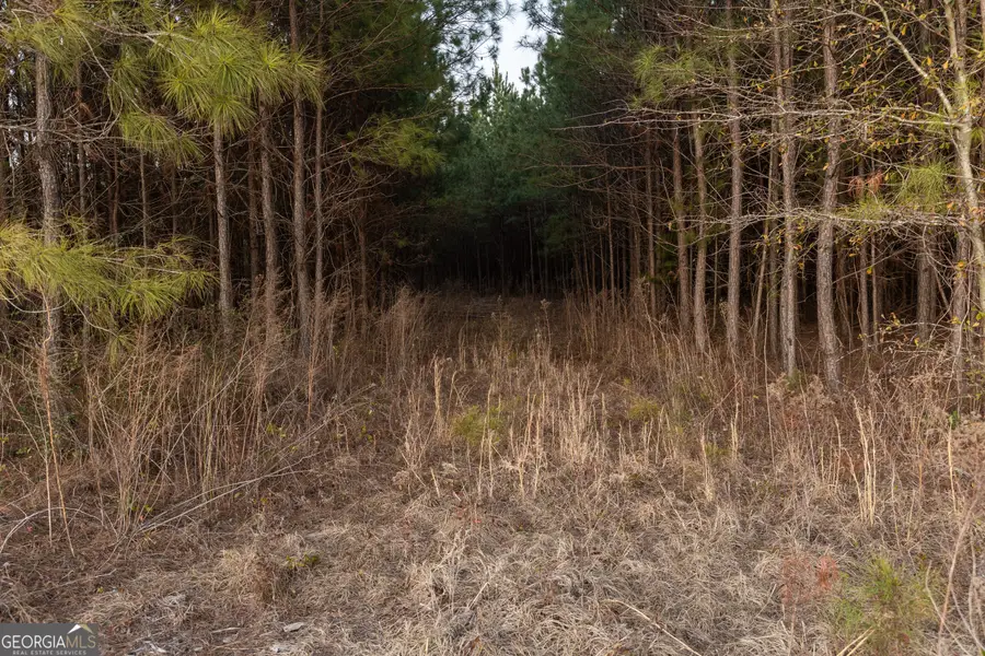 0 Highway 26, Montrose, GA 31065 - #3