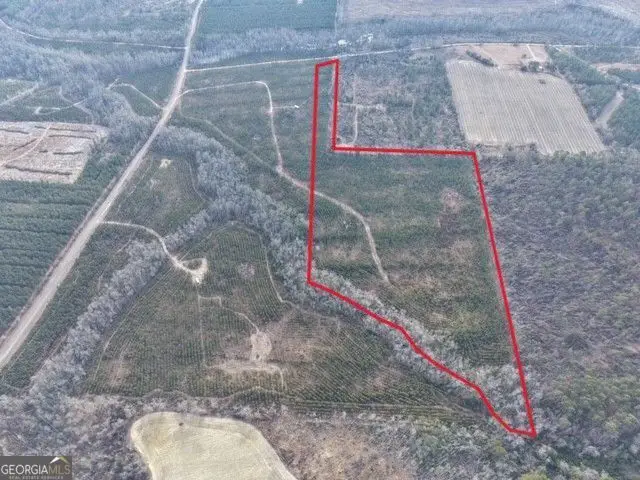 1 Dodges Chapel Road, Lumber City, GA 31549 - #2