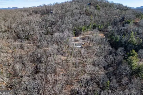 168 Buckskin Drive, Cherry Log, GA 30522