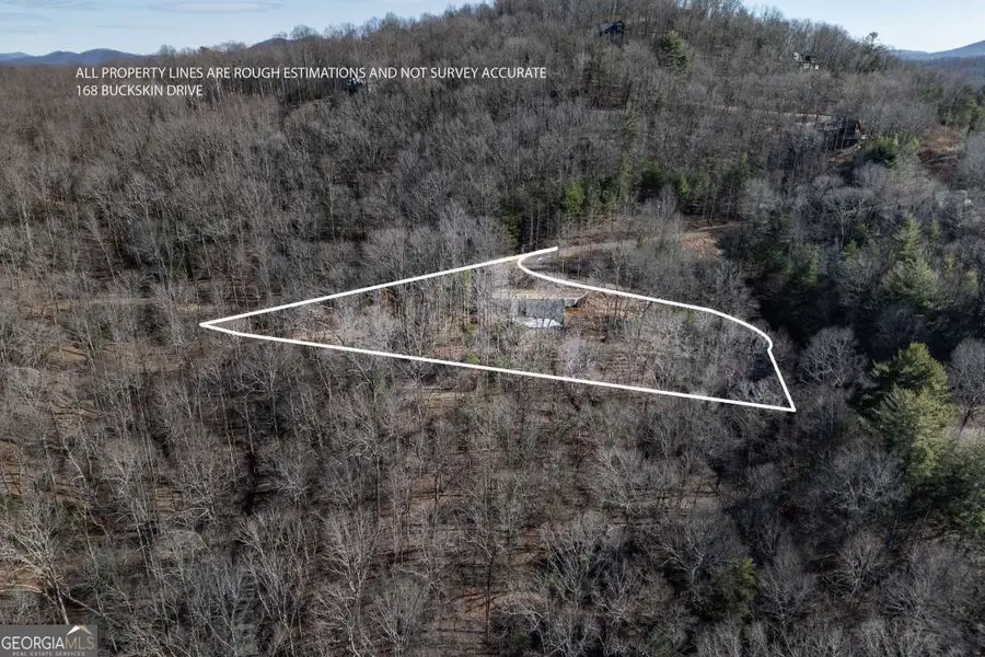 168 Buckskin Drive, Cherry Log, GA 30522 - #2