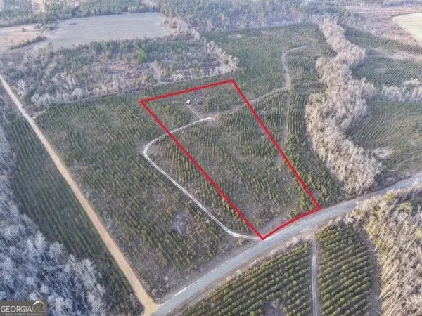 3 Powell School Rd, Lumber City, GA 31549