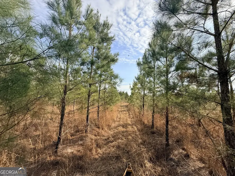 3 Powell School Rd, Lumber City, GA 31549 - #2